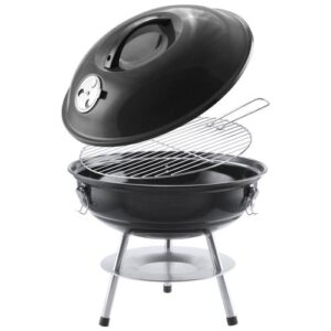 Barbecue mayrax (1230)