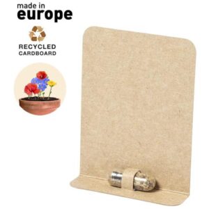 Capsule di semi biyok (2642)