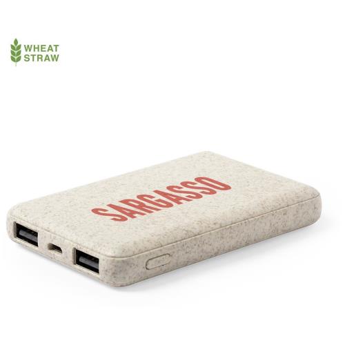 Power bank shiden (6539)